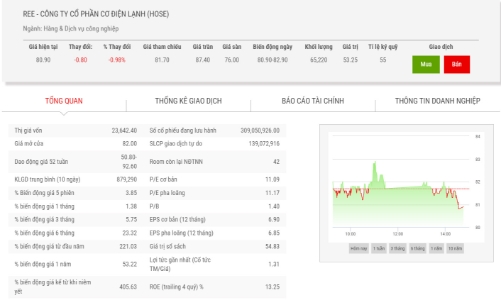 Chuyển nhượng 7 mã cổ phiếu không báo cáo, REE bị phạt tiền