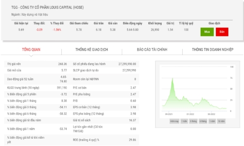Sau khi loạt lãnh đạo từ nhiệm, TGG bổ nhiệm Tổng giám đốc mới