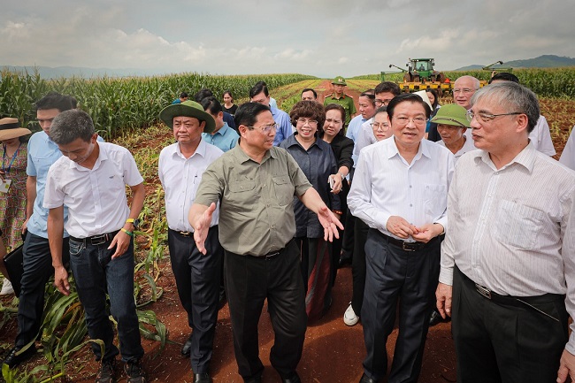 Thủ tướng tham quan trang trại của TH ở Nghệ An.