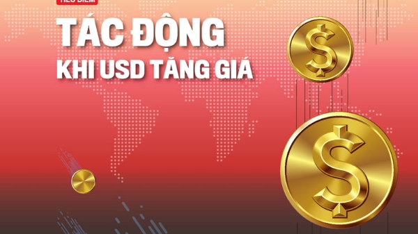 Tạp chí Kinh tế Việt Nam số 30-2022