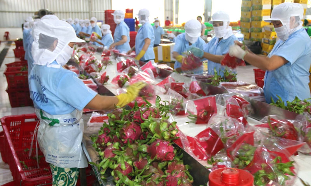Nông sản của Việt Nam chủ yếu là xuất khẩu thô.