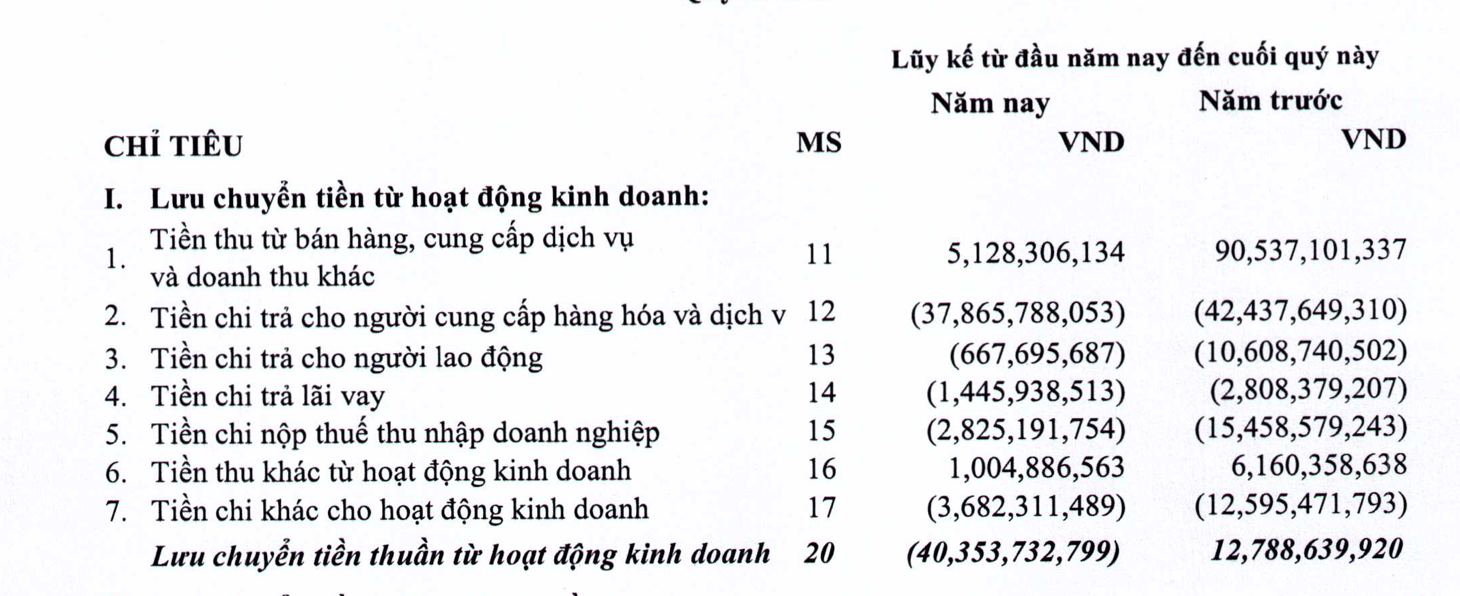 Dòng tiền kinh doanh của HLD âm nặng. 