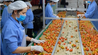 Exports to Russia tumble