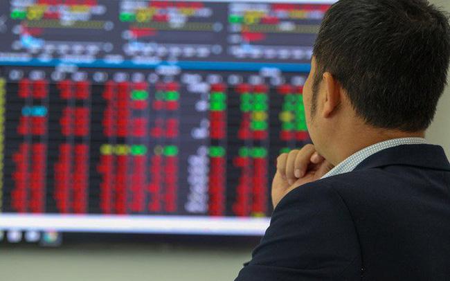 Một trong điểm nhấn quan trọng nhất của thị trường chứng khoán Việt Nam là sự phát triển mạnh mẽ về quy mô vốn hóa.