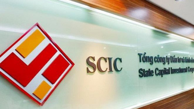SCIC working to complete disvestment plan