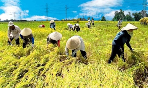 Bất bình đẳng vẫn là thách thức lớn trong công tác giảm nghèo