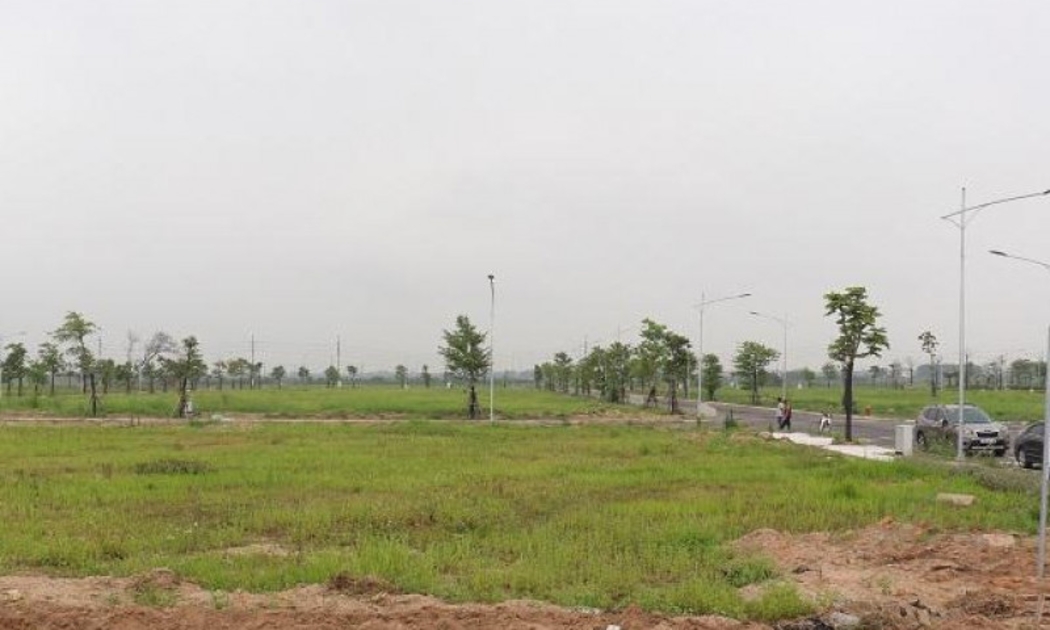 Ảnh minh họa.