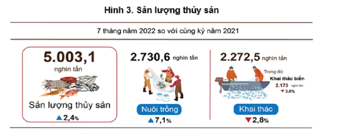 VnEconomy