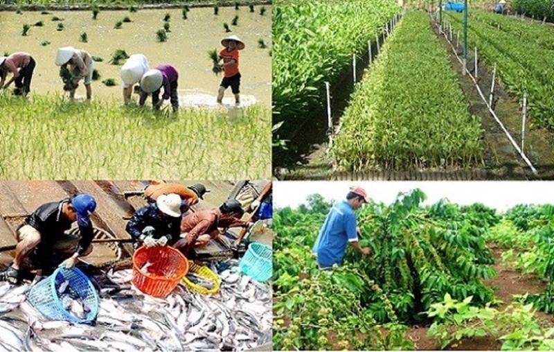 Aquaculture and forestry bright spots in agriculture