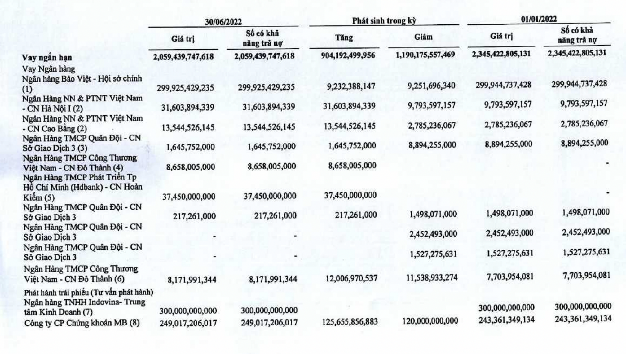 Chi tiết các khoản vay của Hải Phát Invest.