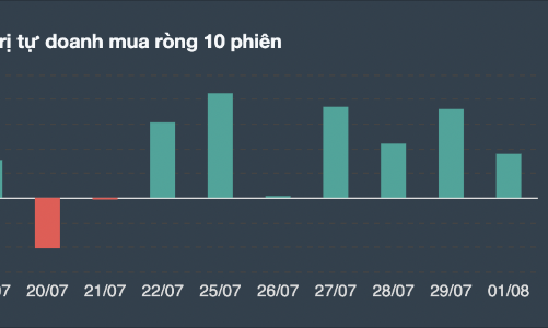 Đầu tháng 8 VN-Index bùng nổ, tự doanh Long mạnh phái sinh, mua ròng cơ sở