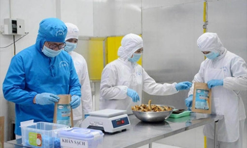 Sẽ miễn kiểm dịch nhiều động vật, sản phẩm động vật thủy sản nhập khẩu