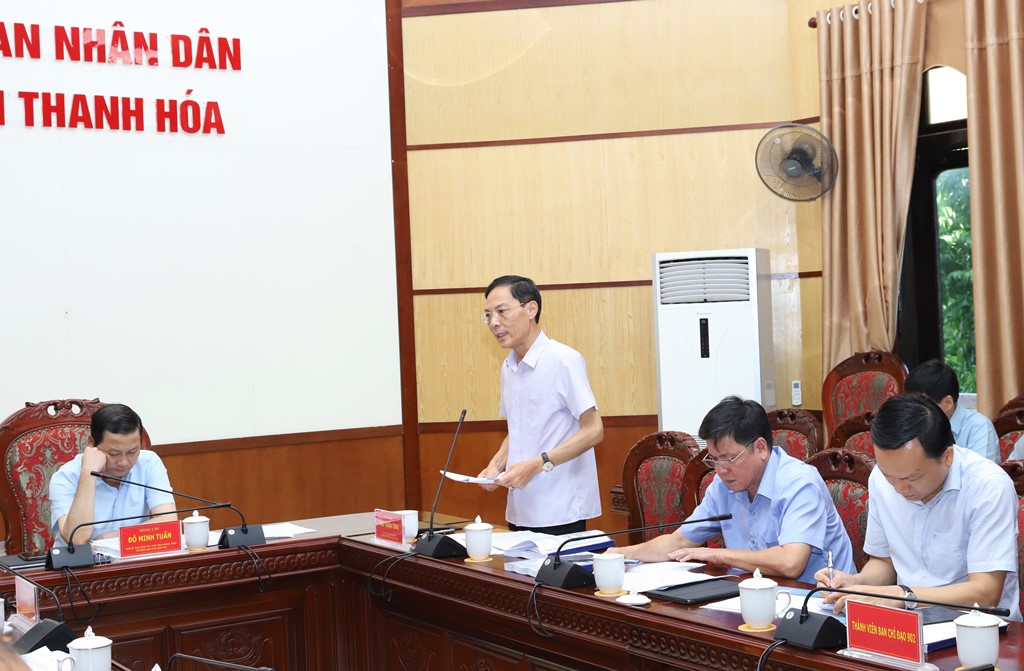 Phó Chủ tịch UBND tỉnh Đầu Thanh Tùng phát biểu ý kiến tại hội nghị.