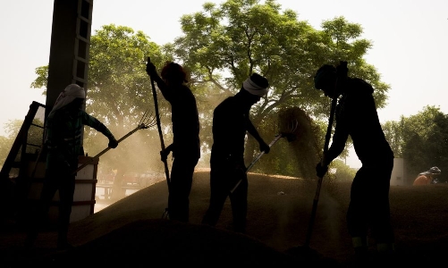 An ninh lương thực toàn cầu bị đe doạ vì thiếu mưa ở Ấn Độ