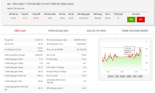 Giá biến động, Phó Chủ tịch không mua 10 triệu cổ phiếu DIG như đăng ký