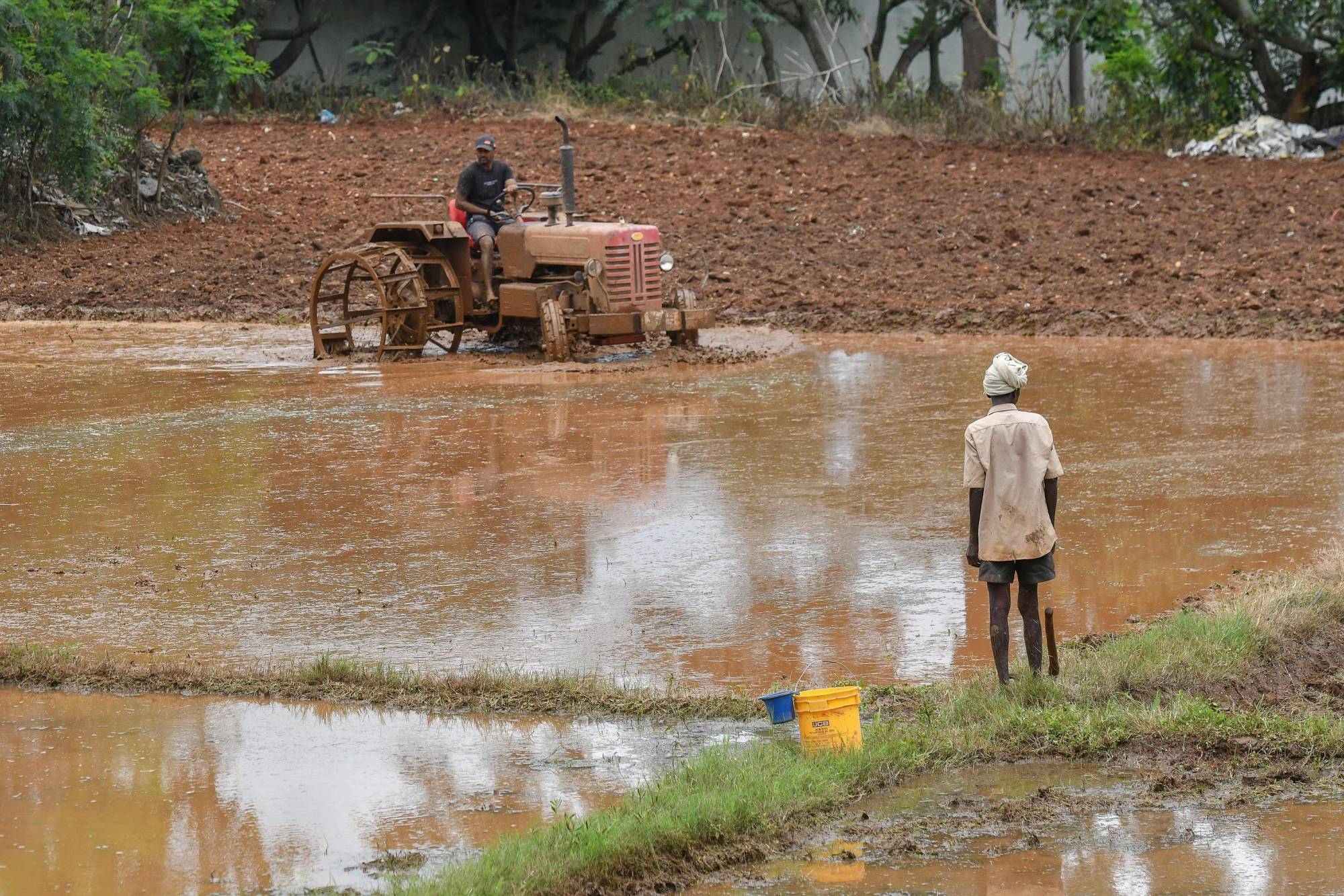 Canh t&aacute;c n&ocirc;ng nghiệp ở Ấn Độ - Ảnh: AP