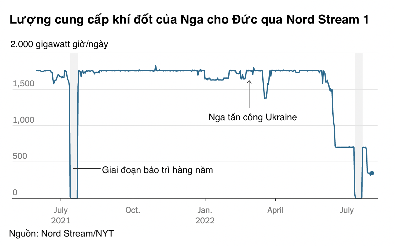 VnEconomy
