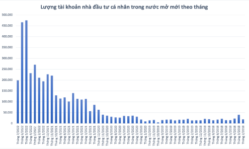 Số tài khoản cá nhân giảm sốc chỉ còn 198.988 mở mới trong tháng 7, giảm gần 60% so với kỷ lục tháng 6