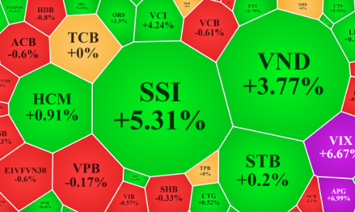 Thị trường điều chỉnh nhẹ, cổ phiếu chứng khoán vẫn rực rỡ