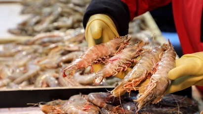 Agricultural exports to Australia face difficulties