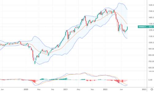 Xu thế dòng tiền: Kiên nhẫn đợi quả ngọt