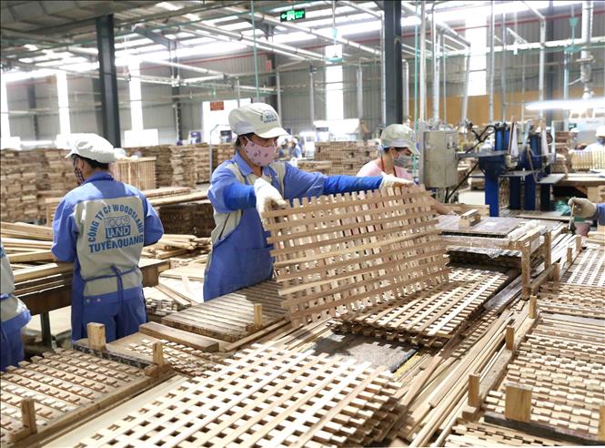 Ngành gỗ liên tiếp đối mặt với các vụ kiện phòng vệ thương mại.
