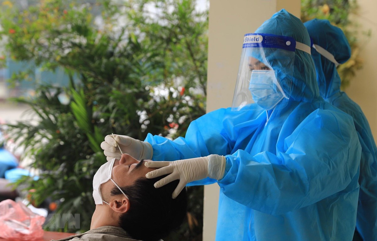 Ảnh minh họa - TTXVN. 