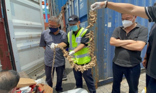 Hải quan TP HCM đề nghị công an khởi tố vụ nhập lậu cá ngựa, xương hổ, vảy tê tê… với số lượng lớn