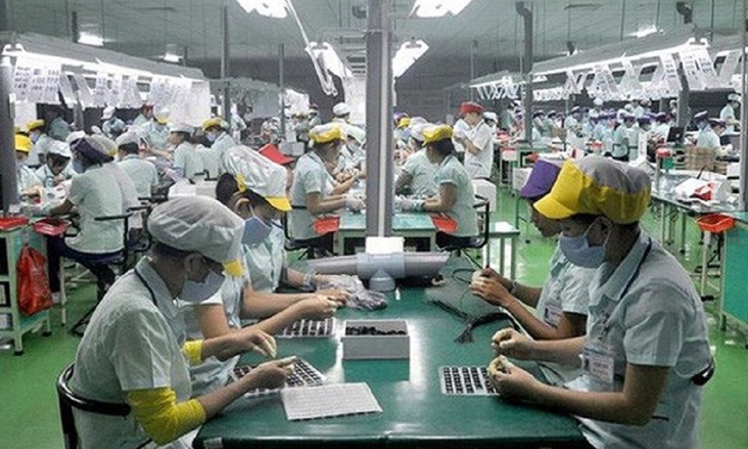 Đến 2022, cả nước có khoảng 5.000 doanh nghiệp chế biến.
