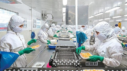 Seafood exports down due to lack of raw materials