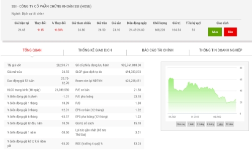 SSI hoàn tất chào bán cổ phiếu, tăng vốn điều lệ lên hơn 14.900 đồng