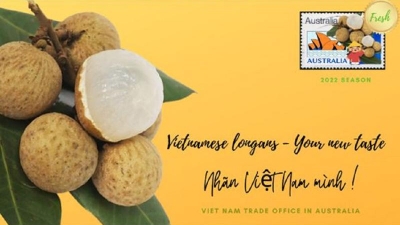 Nearly 10 tons of longan exported to Australia