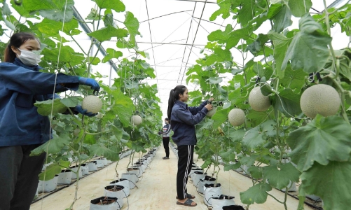 Ký kết Khung Chiến lược hợp tác phát triển bền vững (CF) giai đoạn 2022-2026