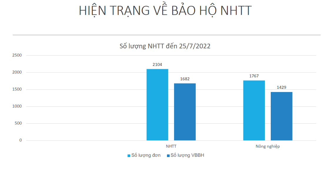 Hiện trạng về bảo hộ nh&atilde;n hiệu tập thể.