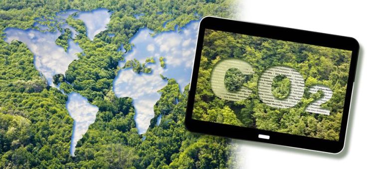 Nguồn ảnh: gettyimagesbank