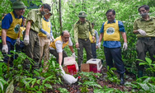 Bảo tồn các vườn quốc gia phải đặt con người làm trung tâm