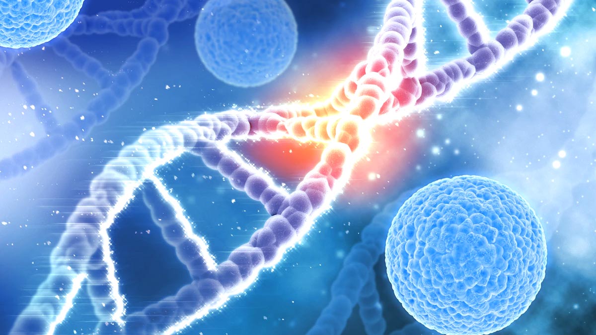 phụ nữ dường như c&oacute; phản ứng miễn dịch mạnh hơn chống lại c&aacute;c bệnh nhiễm tr&ugrave;ng c&oacute; thể g&acirc;y ung thư.