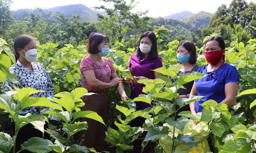 Doanh nghiệp do phụ nữ làm chủ chiếm 24-25% tổng doanh nghiệp cả nước.