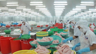 Annual seafood exports to overcome current difficulties