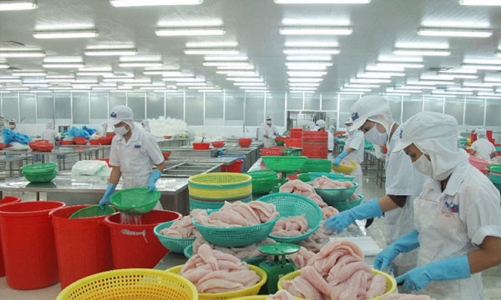 Xuất khẩu thủy sản đã bắt đầu “ngấm đòn” từ việc đồng Euro mất giá