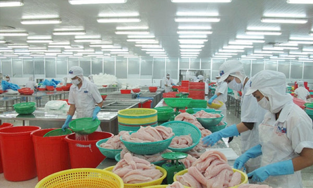 Cá tra vẫn còn dư địa tăng trưởng xuất khẩu.