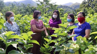 Female-owned enterprises need support in digitalization