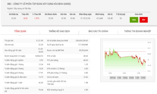 HBC phát hành 5 triệu cổ phiếu riêng lẻ, giá chào cao hơn 45% so với thị giá