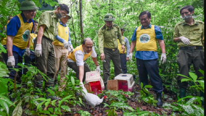 International cooperation needed to conserve and develop national parks