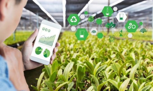 Ứng dụng công nghệ thu thập thông tin, dự báo thị trường nông sản