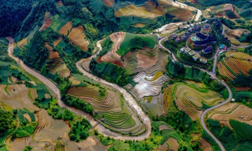 Nghiên cứu thành lập Hội đồng điều phối vùng Trung du và miền núi phía Bắc