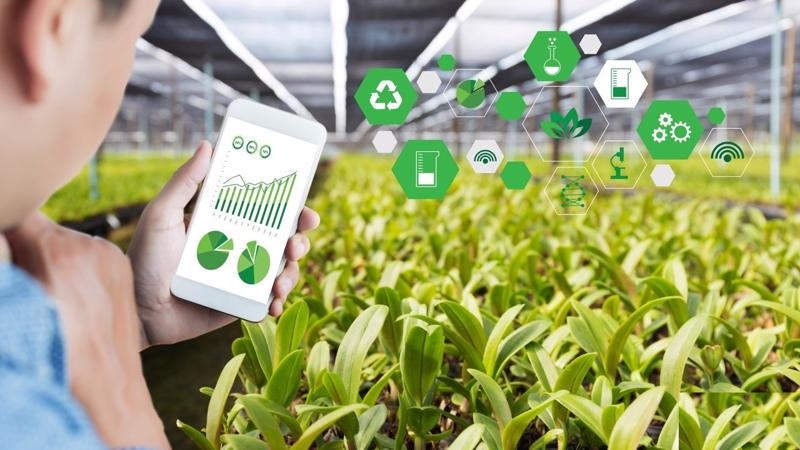 Technology to help forecasting in agricultural market