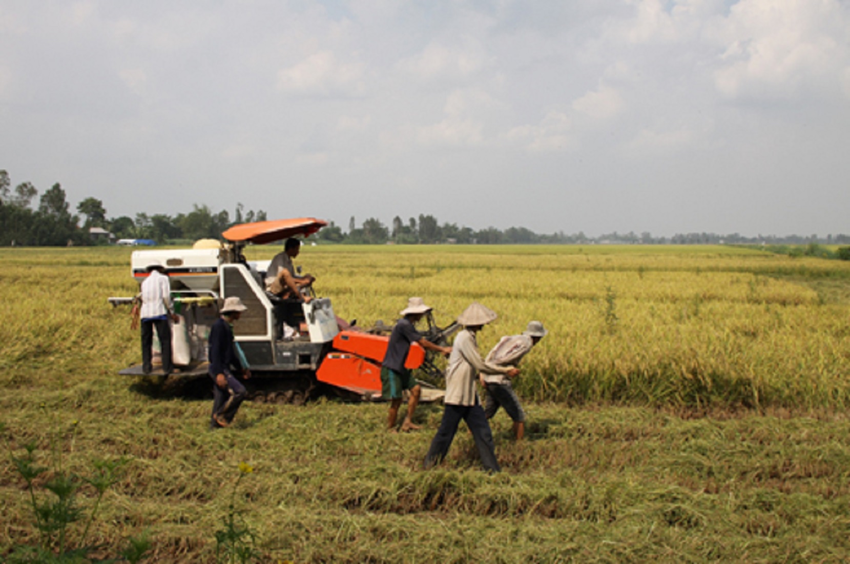 Hợp tác công tư làm tăng năng suất, tăng thu nhập, giảm phát thải