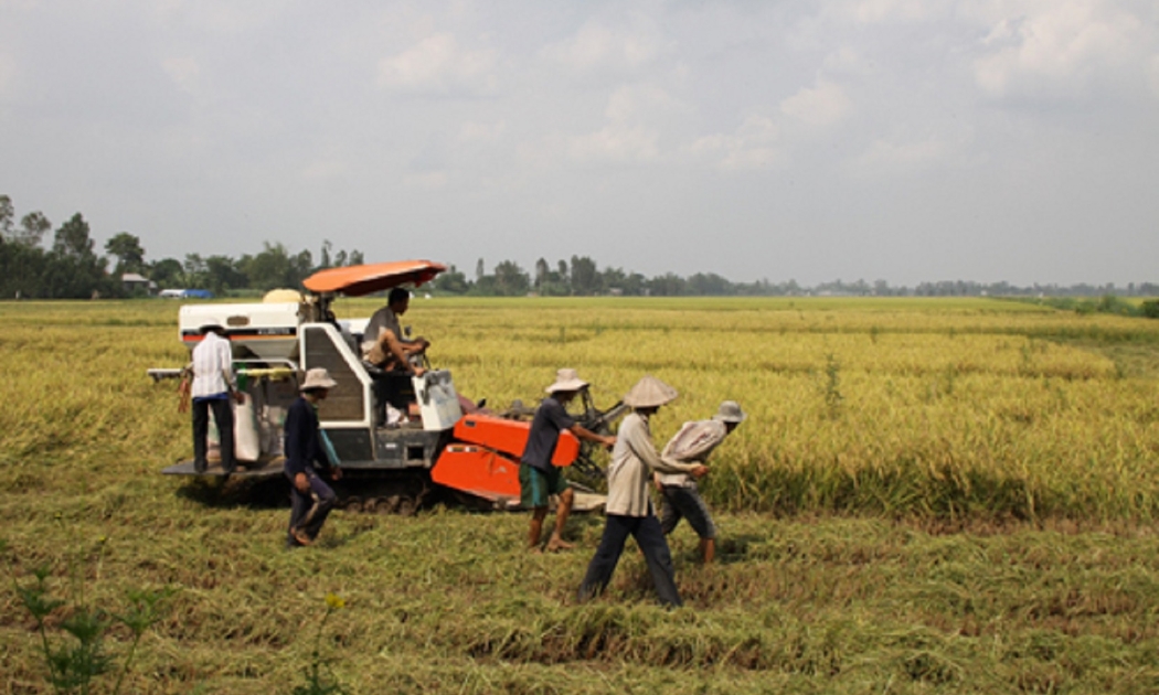 Hợp tác công tư làm tăng năng suất, tăng thu nhập, giảm phát thải