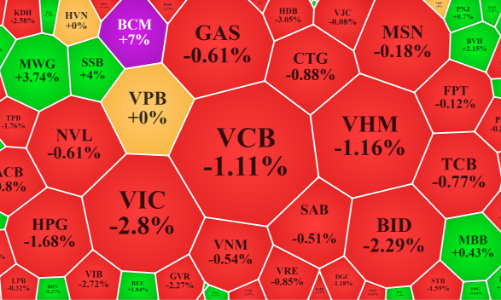 Khởi nghĩa bất thành, VN-Index có phiên giảm mạnh nhất 6 tuần